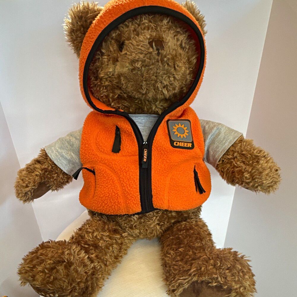 Vintage GUND Millennium Wish Bear "Cheer" Plush – Limited Edition 2000/2001 Y2K